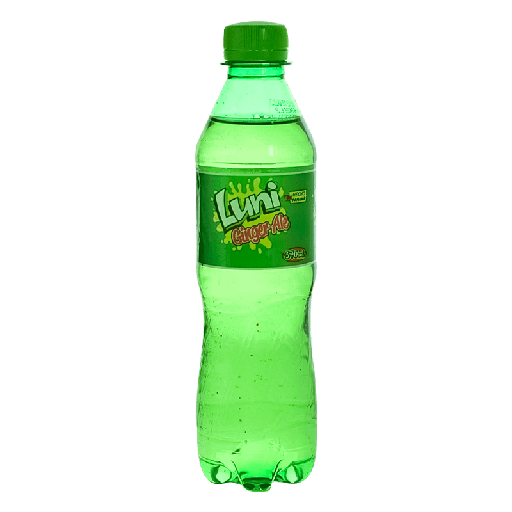 SODA LUNI GINGER ALE PLASTICO 370ML/24